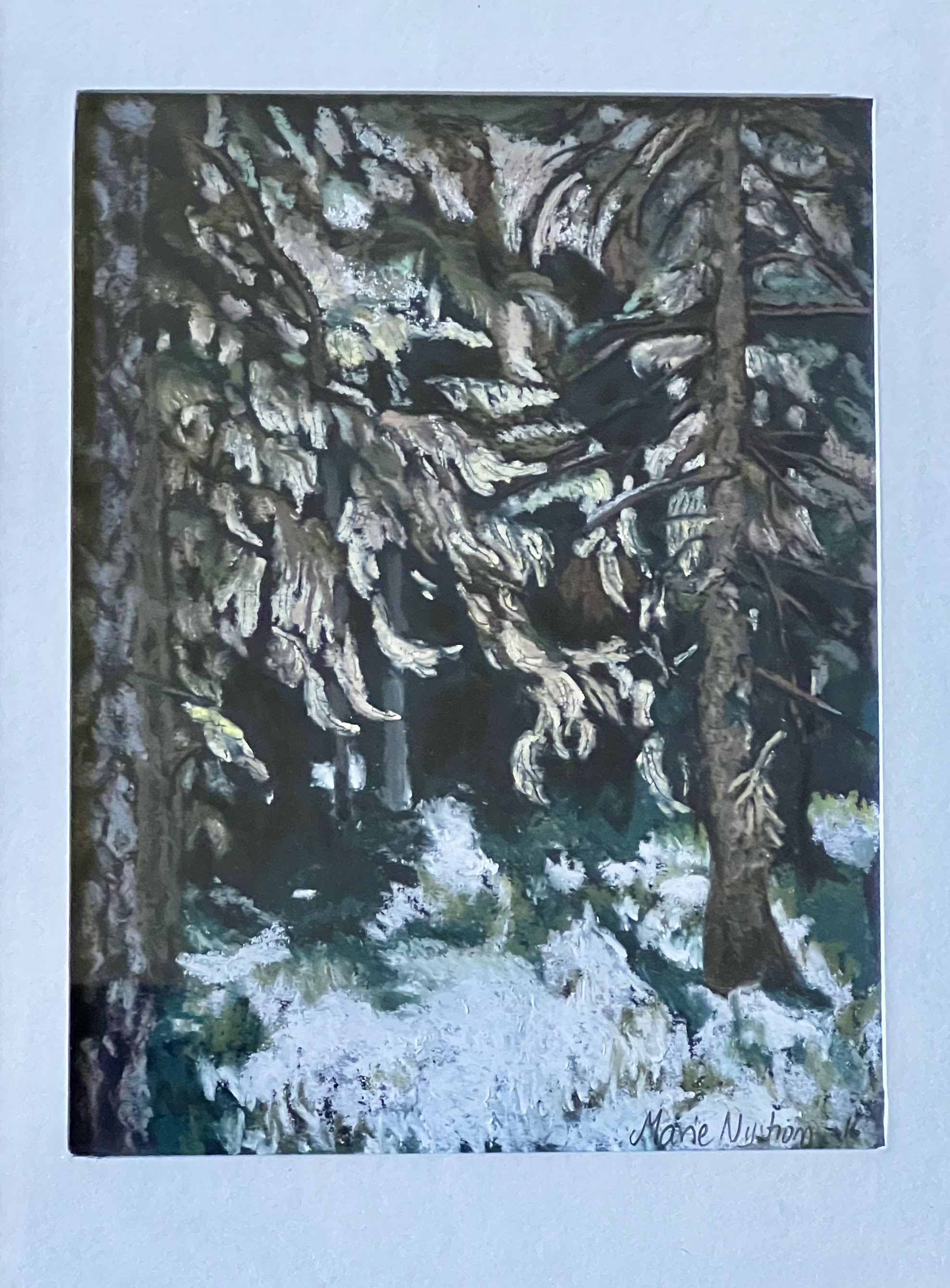 Trysunda gammelskog